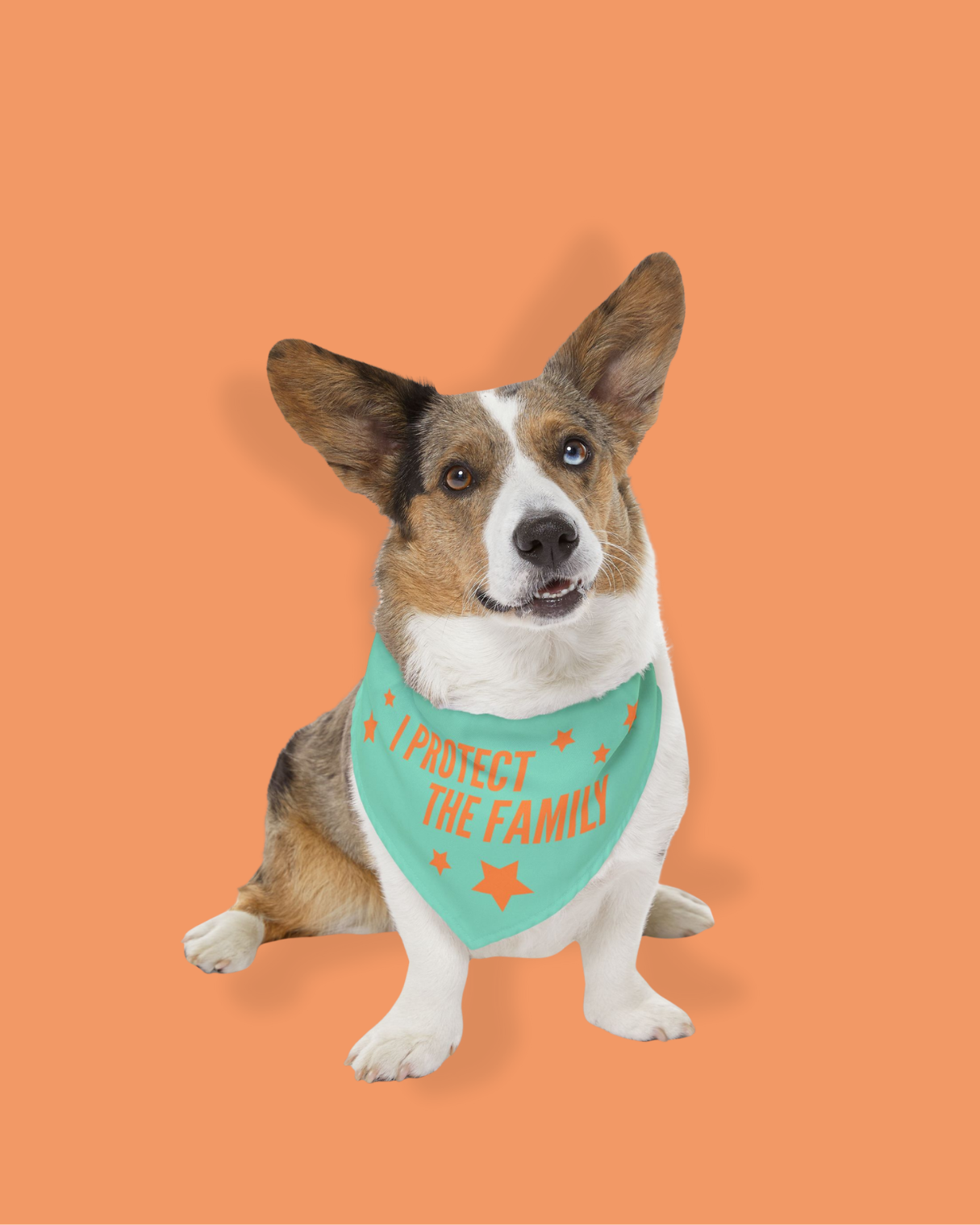 I Protect The Family Pet Bandana Collar